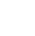 Our Company Values